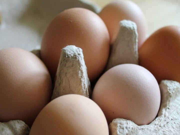 čalovec slovensko farma vajcia vajíčka vtáčia chrípka