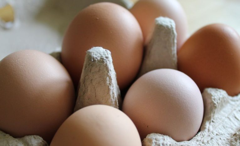 čalovec slovensko farma vajcia vajíčka vtáčia chrípka