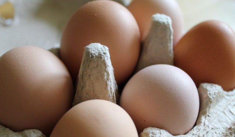 čalovec slovensko farma vajcia vajíčka vtáčia chrípka