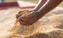 mlynári poplach slovensko zamestnávateľ