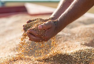 mlynári poplach slovensko zamestnávateľ
