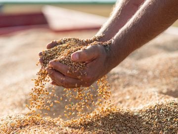mlynári poplach slovensko zamestnávateľ