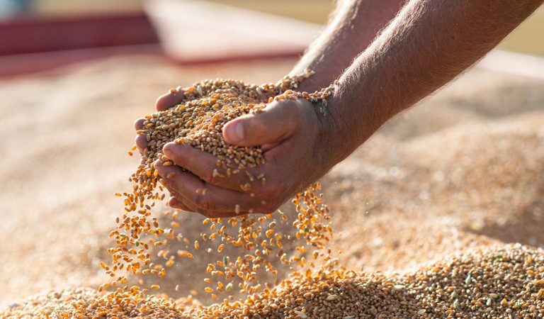 mlynári poplach slovensko zamestnávateľ