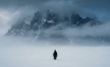 nihilistický tučniak viral meme tučniak penguin antarktída