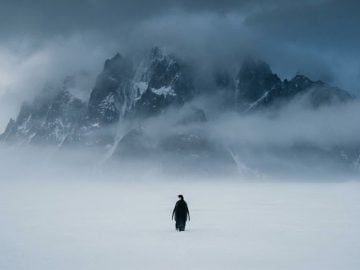 nihilistický tučniak viral meme tučniak penguin antarktída