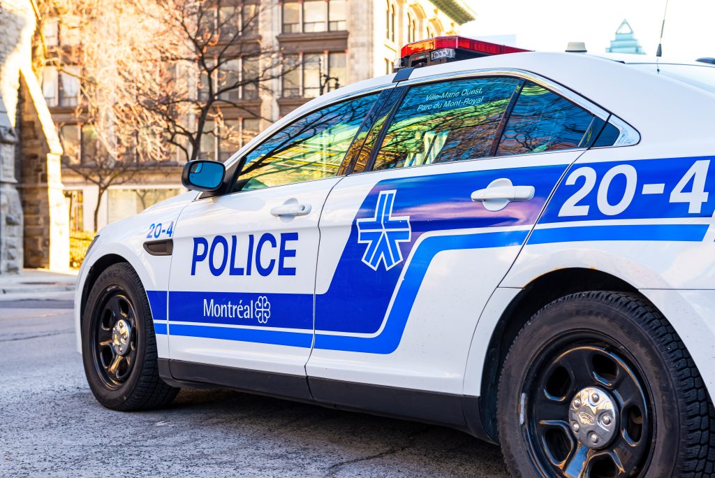 Robins des Ruelles je kanadská skupina, ktorá vykráda obchody s potravinami a korisť následne rozdáva chudobným ľuďom.