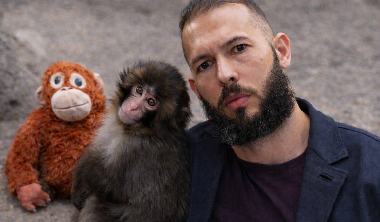 tristan tate andrew opička japonsko zoo viral