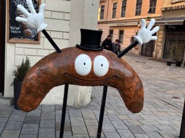 bratislava výkal exkrement ľudia slovensko