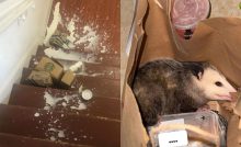 20 ľudí, ktorí na donášku svojho jedla len tak nezabudnú