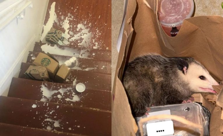 20 ľudí, ktorí na donášku svojho jedla len tak nezabudnú