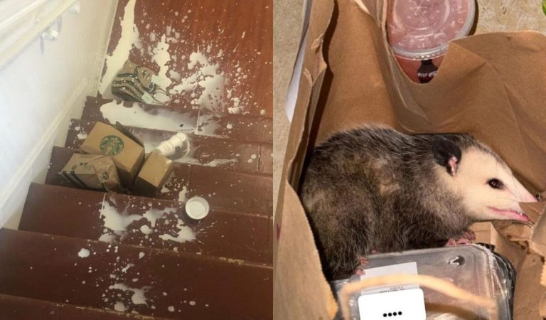 20 ľudí, ktorí na donášku svojho jedla len tak nezabudnú