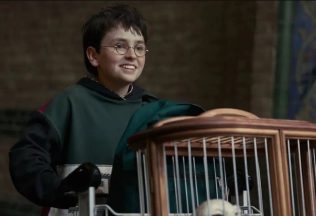 Harry Potter, Harry Potter seriál, seriály, HBO Max, stream platformy, seriálová novinka, kontroverzia