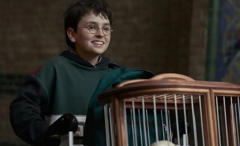 Harry Potter, Harry Potter seriál, seriály, HBO Max, stream platformy, seriálová novinka, kontroverzia