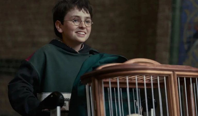 Harry Potter, Harry Potter seriál, seriály, HBO Max, stream platformy, seriálová novinka, kontroverzia