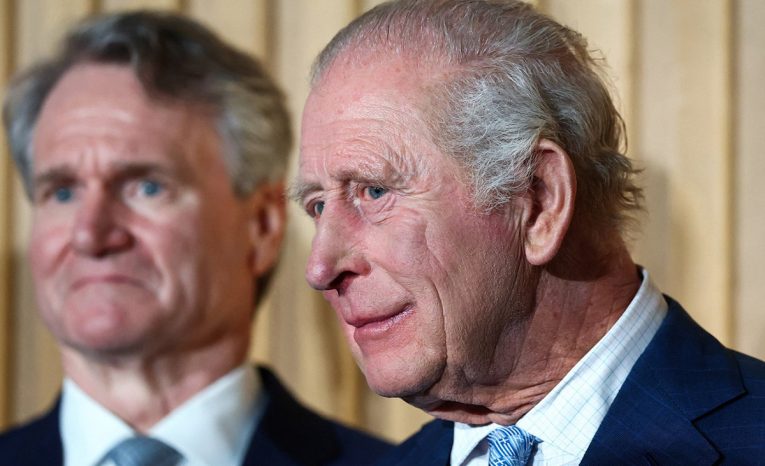 kráľovská rodina karol anglicko práca zamestnanie