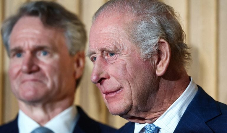 kráľovská rodina karol anglicko práca zamestnanie