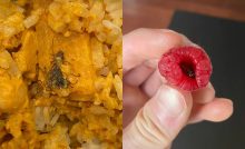 20 ľudí ktorí sa chceli najesť