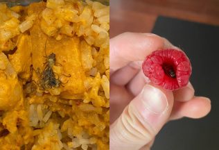 20 ľudí ktorí sa chceli najesť