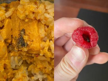 20 ľudí ktorí sa chceli najesť