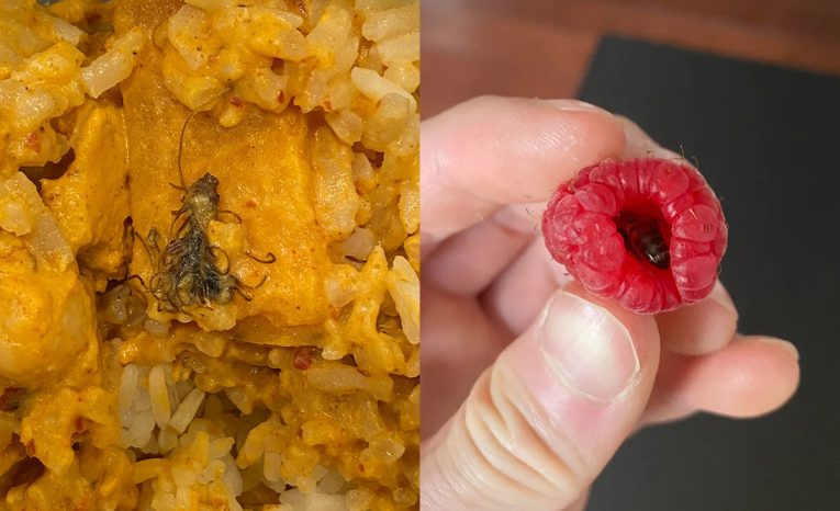 20 ľudí ktorí sa chceli najesť