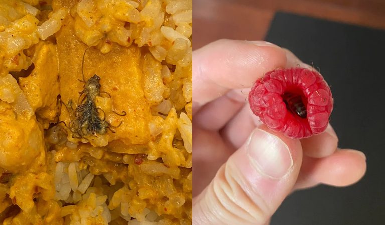 20 ľudí ktorí sa chceli najesť