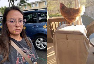 naprd deň fotografie