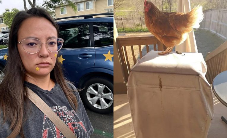 naprd deň fotografie