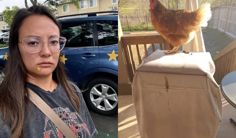 naprd deň fotografie