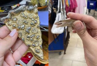 20 zaujímavých a bizarných úlovkov, ktoré ľudia objavili v sekáčoch