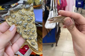 20 zaujímavých a bizarných úlovkov, ktoré ľudia objavili v sekáčoch