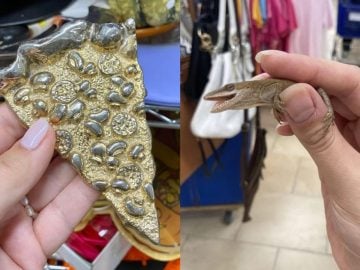 20 zaujímavých a bizarných úlovkov, ktoré ľudia objavili v sekáčoch