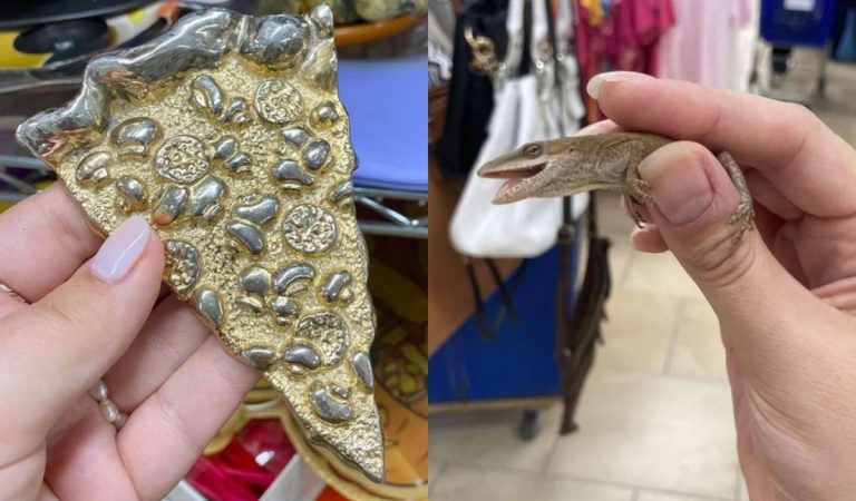 20 zaujímavých a bizarných úlovkov, ktoré ľudia objavili v sekáčoch