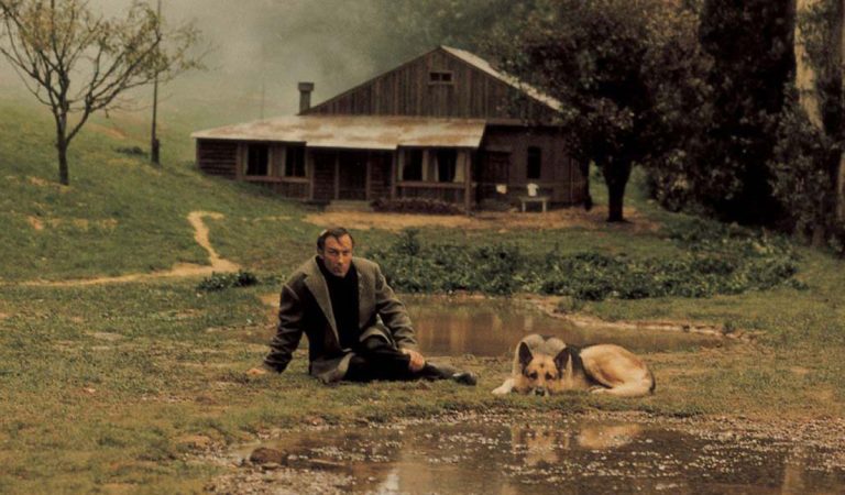 slow cinema pomalé filmy scrollovanie