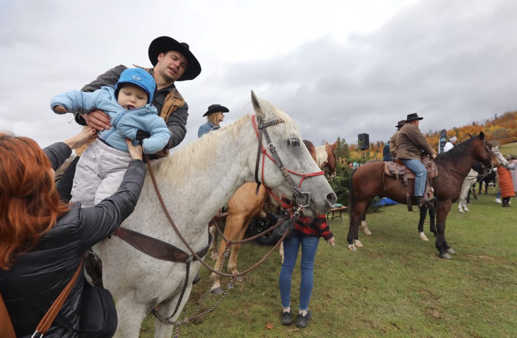 Ako by to vyzeralo, ak by všetci na Slovensku vymenili autá za kone? Na toto sa musíš pripraviť, keď chceš jedného vlastniť