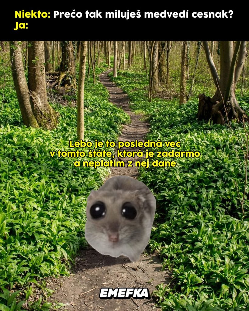 Prinášame ti ďalšiu epizódu seriálu 10 najlepších memes uplynulého týždňa. Minulotýždňové zhrnutie memes z produkcie EMEFKA je tu.