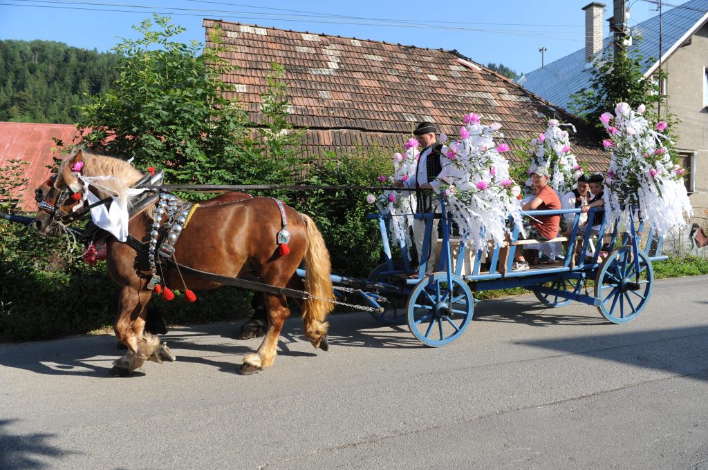 Ako by to vyzeralo, ak by všetci na Slovensku vymenili autá za kone? Na toto sa musíš pripraviť, keď chceš jedného vlastniť