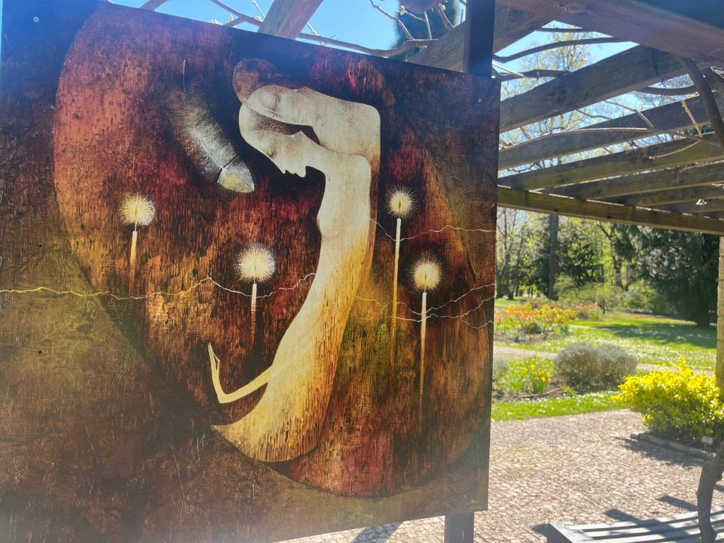 Botanická záhrada UK v Bratislave je znovu otvorená