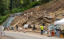 dinosaurus slovensko tyranosaurus stredné slovensko ľudia
