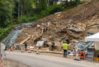 dinosaurus slovensko tyranosaurus stredné slovensko ľudia