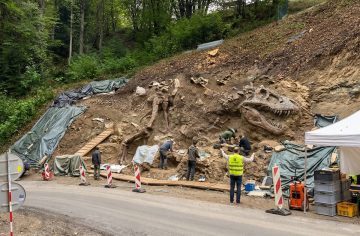 (EXKLUZÍVNE) Na strednom Slovensku bola objavená masívna kostra dinosaura. Nález zmení túto obec na nepoznanie