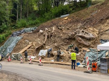 dinosaurus slovensko tyranosaurus stredné slovensko ľudia