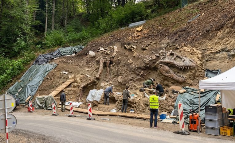dinosaurus slovensko tyranosaurus stredné slovensko ľudia