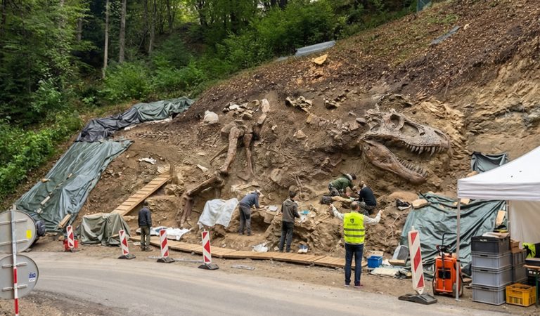 dinosaurus slovensko tyranosaurus stredné slovensko ľudia