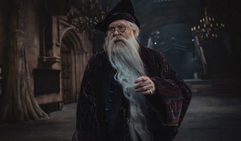 Harry Potter, Harry Potter seriál, stream platformy, seriály, HBO Max