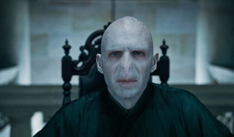 seriály, Harry Potter seriál, stream platformy, HBO Max, Tilda Swinton, herečka