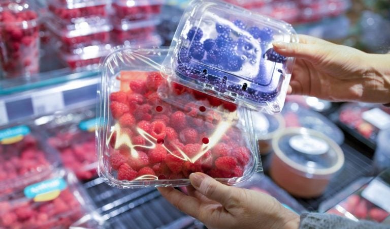 News, Slovensko, Poľsko, zahraničie, mrazené maliny, stiahnutie z predaja, potraviny