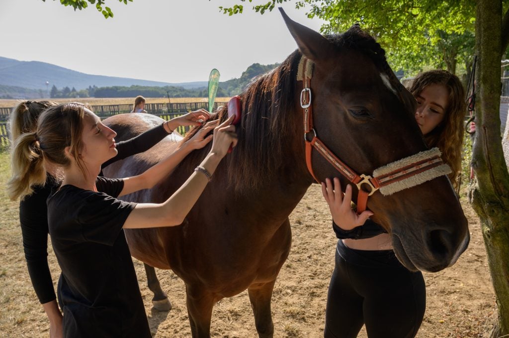 Čo ak nastane kritický nedostatok pohonných hmôt? Pripravili sme prehľad ako by to vyzeralo, ak by na Slovensku autá nahradili kone.