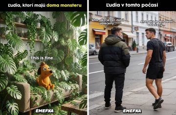 TOP 10 memes, ktoré vás bavili minulý týždeň najviac #225