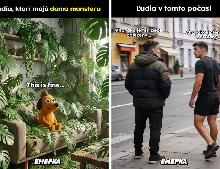 TOP 10 memes, ktoré vás bavili minulý týždeň najviac #225