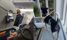 užitočné lifehacky